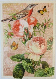 Postkarte Rand gezackt A6 Rose &Vogel auf lachs